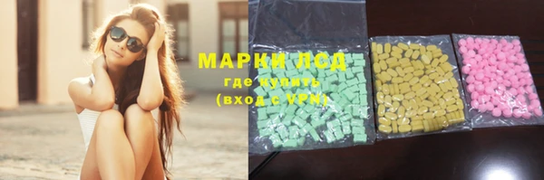 прущие грибы Магас