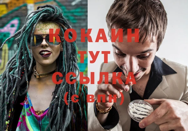 дурь Лабытнанги